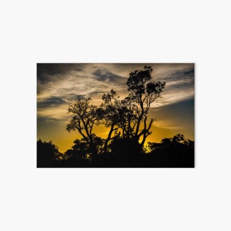 Currarong Creek Sunset Art Board Print