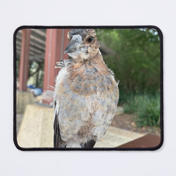 Item preview, Birds of Australia designed and sold by shamalamaghee.