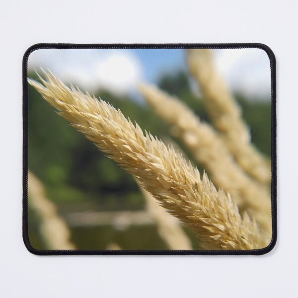 Item preview, Golden Grains in a Soft Haze designed and sold by NatsVision.