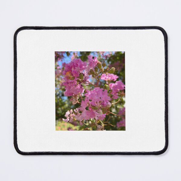 Item preview, Pretty Pink Crepe Myrtle in Sunlight designed and sold by Zinziber.