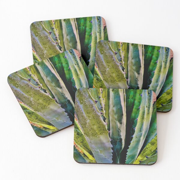 Item preview, Agave azul designed and sold by Fatboy0699.