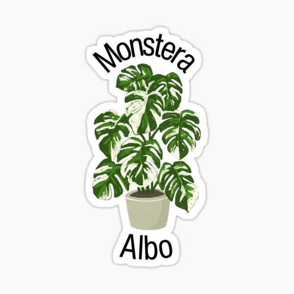 Vista previa del artículo con la obra «Pegatina de la planta Monstera Albo», diseñado y vendido por LivsPlantHouse.