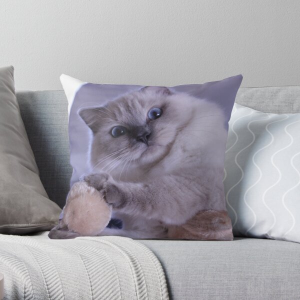 Ragdoll cat Bambi, blue colorpoint Throw Pillow