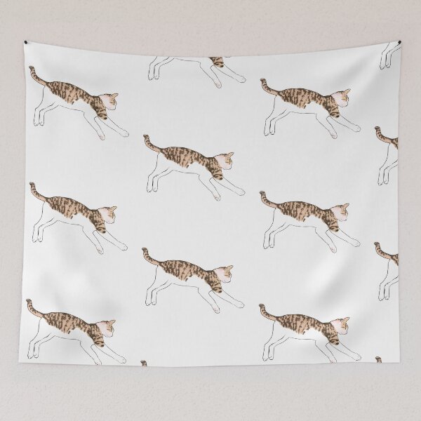 Item preview, CUTY  STRAY CAT IMAGE (SLEEP) 5th designed and sold by Soheemanga.