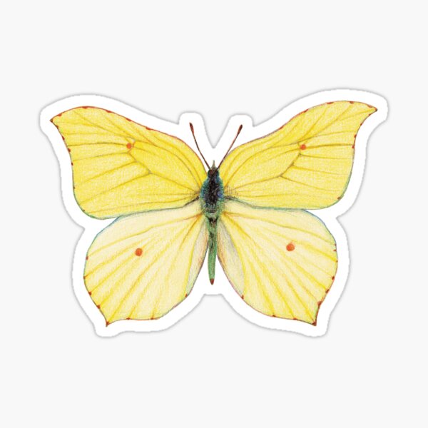 Vista previa del artículo con la obra «Camiseta con dibujo de mariposa amarilla», diseñado y vendido por LushLinesStudio.