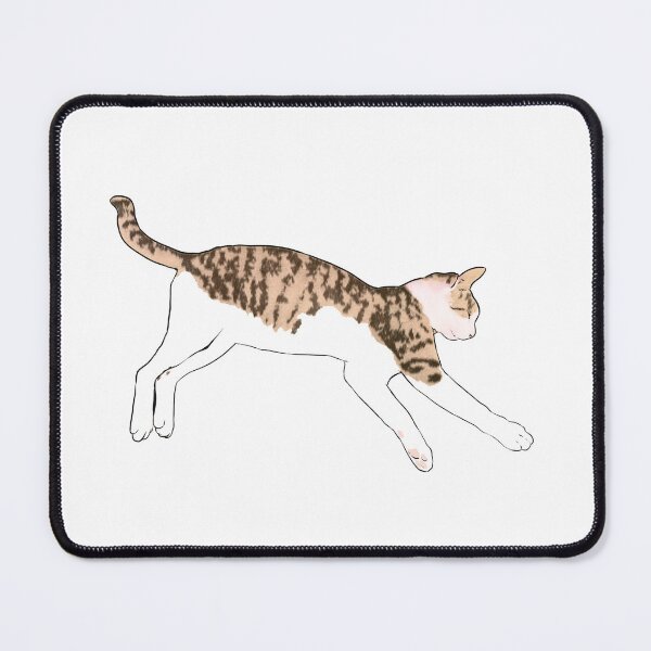 Item preview, CUTY  STRAY CAT IMAGE (SLEEP) 5th designed and sold by Soheemanga.