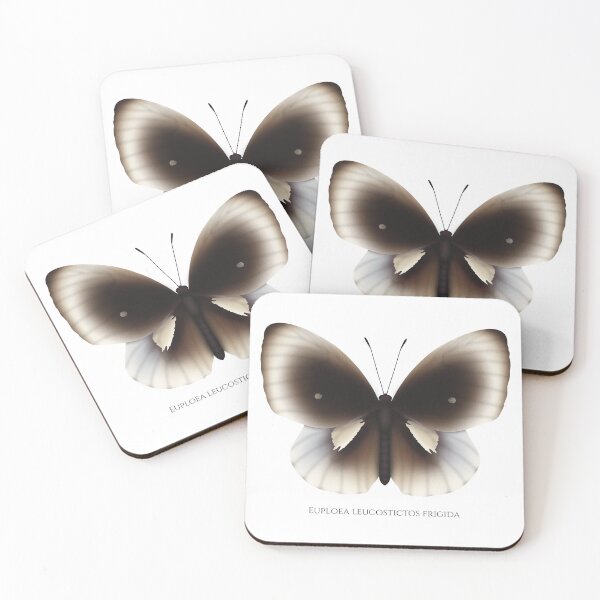 Item preview, Euploea leucostictos frigida designed and sold by swiatek.