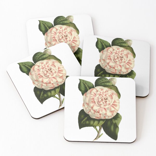 Item preview, Pale Pink and White Camellia Flower designed and sold by IrisAndIvy.