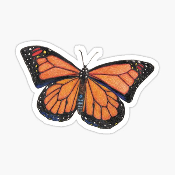 Vista previa del artículo con la obra «Camiseta con dibujo de mariposa monarca», diseñado y vendido por LushLinesStudio.