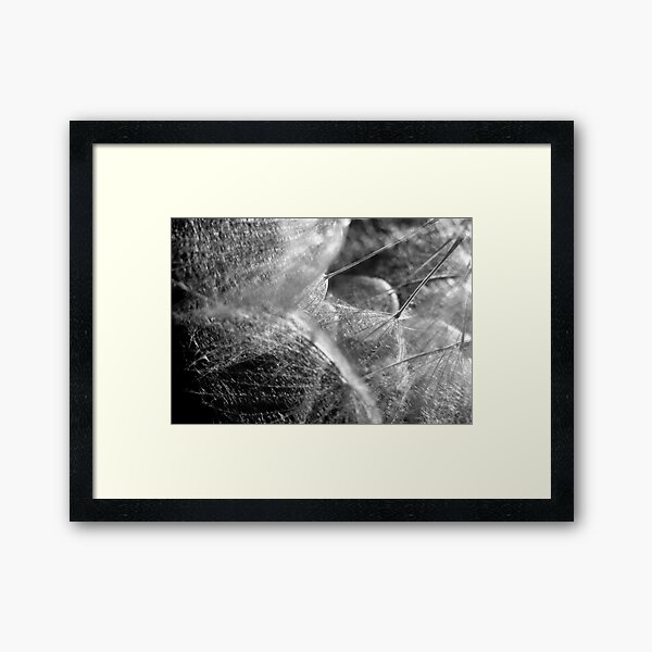 Item preview, GOAT'S BEARD IN HIGH CONTRAST designed and sold by Sandra  Aguirre.