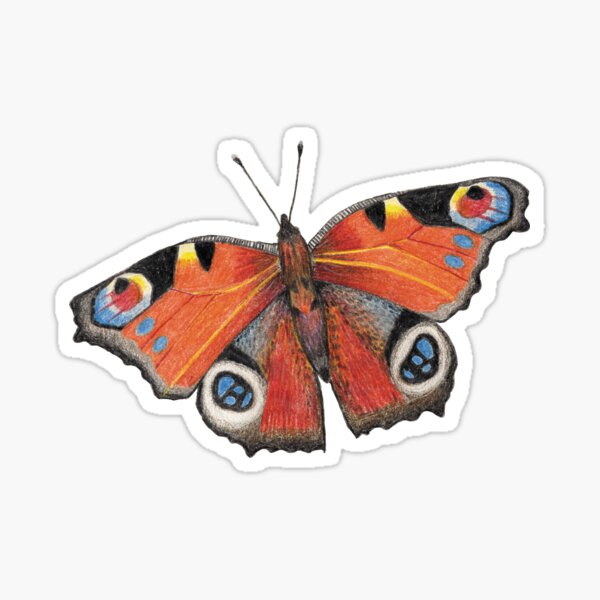 Vista previa del artículo con la obra «Camiseta con dibujo de mariposa pavo real», diseñado y vendido por LushLinesStudio.