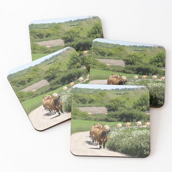 Item preview, Jersey dairy cows walking up a farm track to be milked, surrounded by cow parsley designed and sold by karenadams.