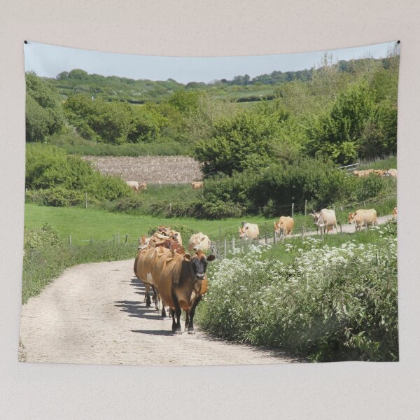 Item preview, Jersey dairy cows walking up a farm track to be milked, surrounded by cow parsley designed and sold by karenadams.