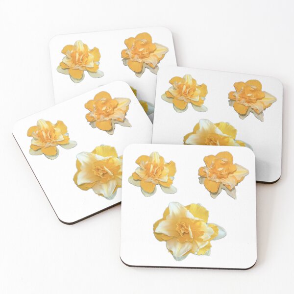 Item preview, Daffodil stickers of narcis flower photo Amaryllidaceae designed and sold by Eva-vdz.