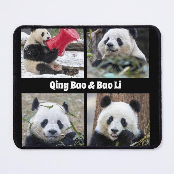Item preview, Pandas Qing Bao and Bao Li at the Smithsonian's National Zoo designed and sold by Zoo and Nature Photography by Karie.