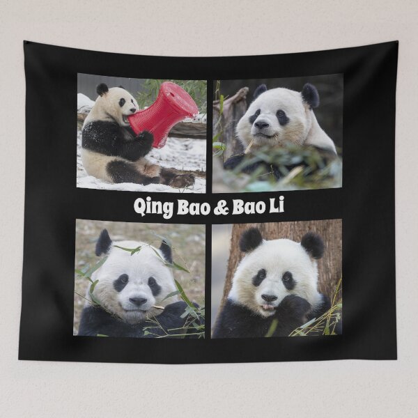 Item preview, Pandas Qing Bao and Bao Li at the Smithsonian's National Zoo designed and sold by Zoo and Nature Photography by Karie.