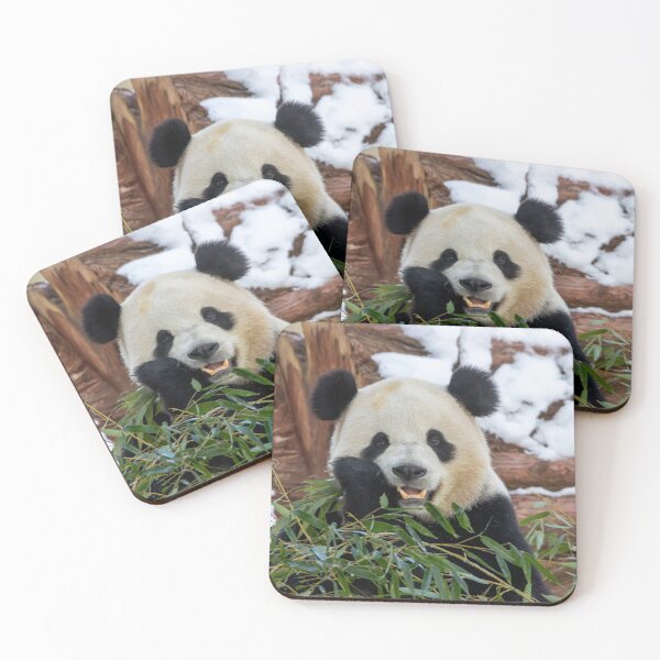 Item preview, Giant Panda Bao Li at the Smithsonian's National Zoo designed and sold by Zoo and Nature Photography by Karie.