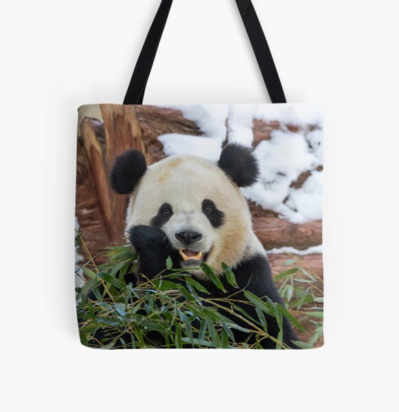 Item preview, Giant Panda Bao Li at the Smithsonian's National Zoo designed and sold by Zoo and Nature Photography by Karie.