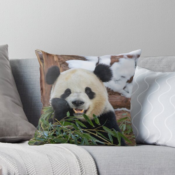 Item preview, Giant Panda Bao Li at the Smithsonian's National Zoo designed and sold by Zoo and Nature Photography by Karie.