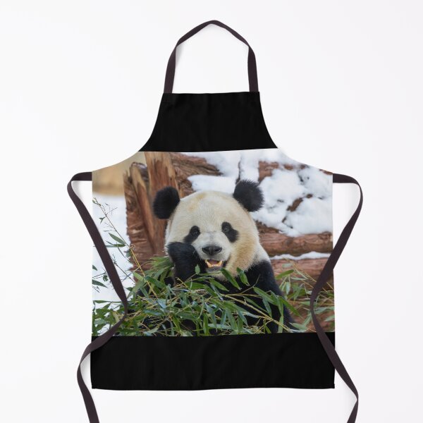 Item preview, Giant Panda Bao Li at the Smithsonian's National Zoo designed and sold by Zoo and Nature Photography by Karie.