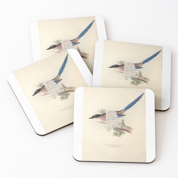 Item preview, Bird Divination: Azure Winged Magpie (almanacofbirds.org) designed and sold by mariapopova.