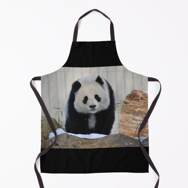 Item preview, Giant Panda Qing Bao at the Smithsonian's National Zoo designed and sold by Zoo and Nature Photography by Karie.