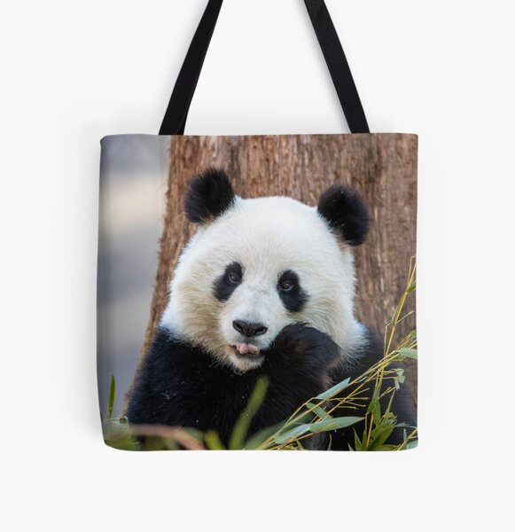 Item preview, Giant Panda Qing Bao at the Smithsonian's National Zoo designed and sold by Zoo and Nature Photography by Karie.