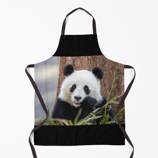 Item preview, Giant Panda Qing Bao at the Smithsonian's National Zoo designed and sold by Zoo and Nature Photography by Karie.