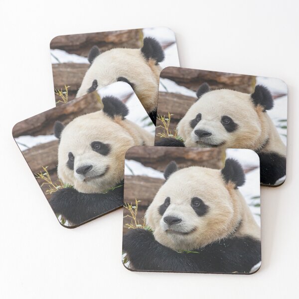 Item preview, Giant Panda Bao Li at the Smithsonian's National Zoo designed and sold by Zoo and Nature Photography by Karie.