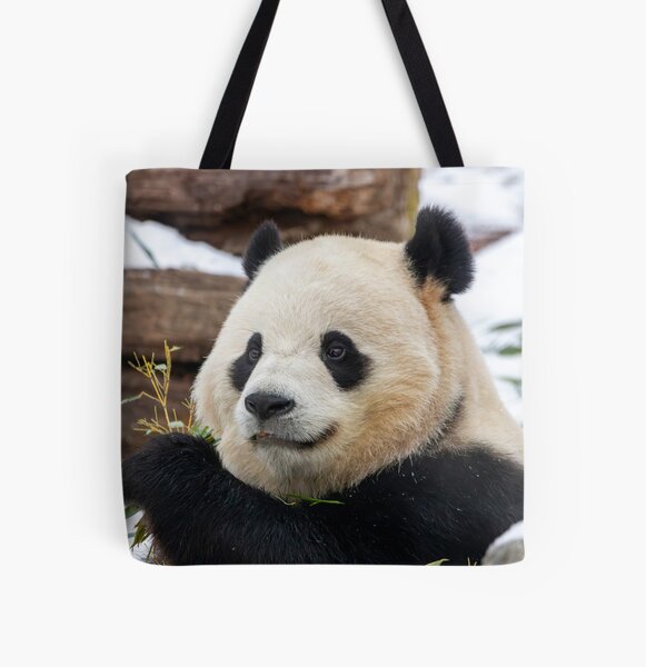 Item preview, Giant Panda Bao Li at the Smithsonian's National Zoo designed and sold by Zoo and Nature Photography by Karie.