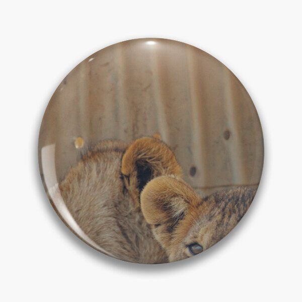 Item preview, Relaxing Cubs designed and sold by shegoes-photo.