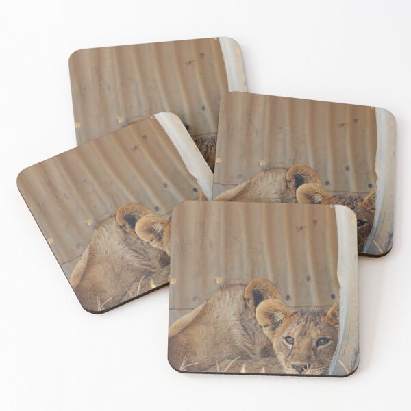 Item preview, Relaxing Cubs designed and sold by shegoes-photo.