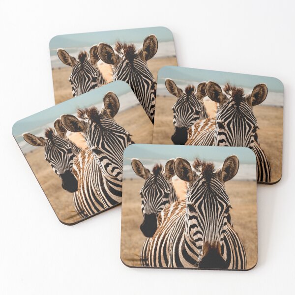 Item preview, Zebra Follow the Leader designed and sold by shegoes-photo.