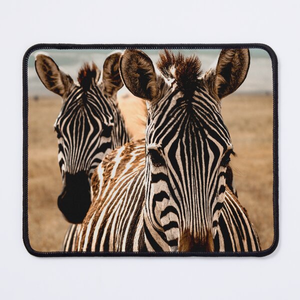 Item preview, Zebra Follow the Leader designed and sold by shegoes-photo.