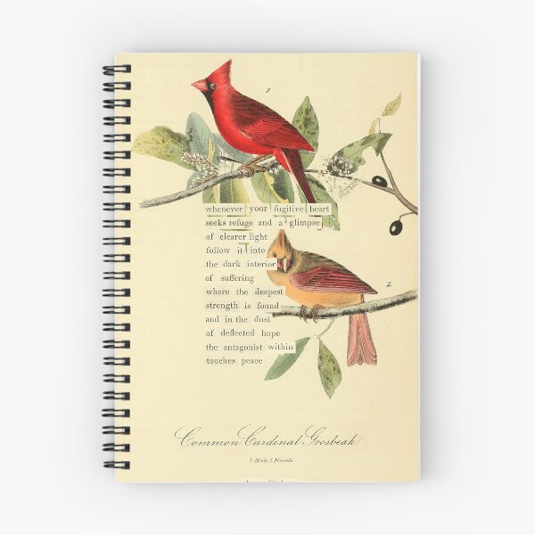 Item preview, Bird Divination: Common Cardinal Grosbeak (almanacofbirds.org) designed and sold by mariapopova.