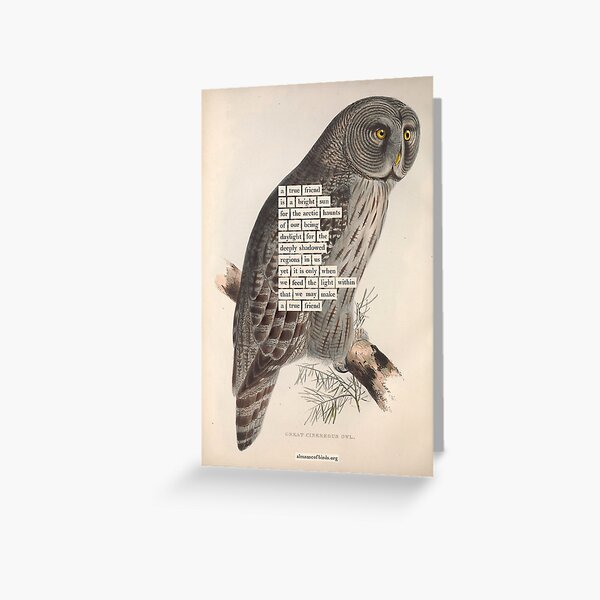 Item preview, Bird Divination: Great Cinereous Owl (almanacofbirds.org) designed and sold by mariapopova.