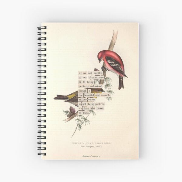 Aperçu de l'œuvre Divination des oiseaux : Bec-croisé à ailes blanches (almanacofbirds.org) créée et vendue par mariapopova.