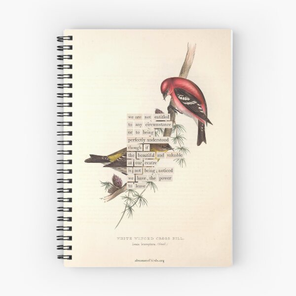 Item preview, Bird Divination: White Winged Cross Bill (almanacofbirds.org) designed and sold by mariapopova.