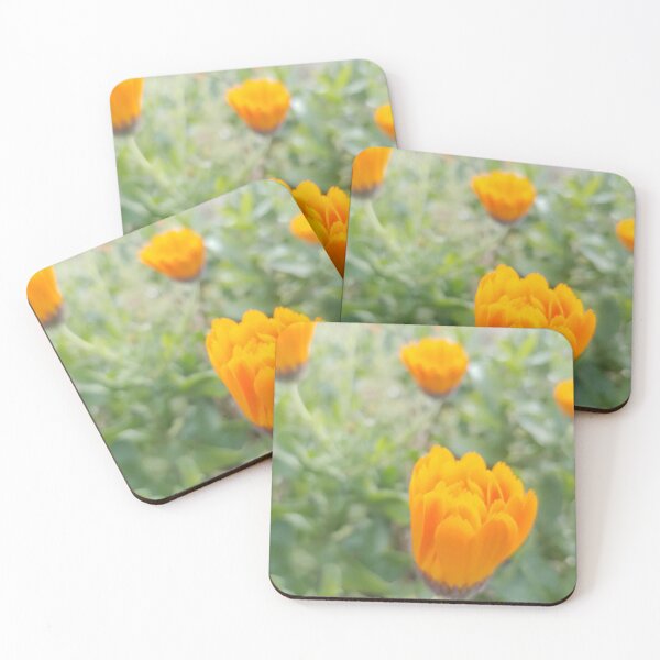 Item preview, Calendula designed and sold by shisabella.