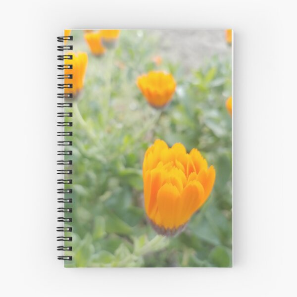 Item preview, Calendula designed and sold by shisabella.