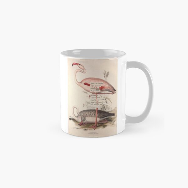 Vista previa del artículo con la obra «Adivinación de aves: flamenco (almanacofbirds.org)», diseñado y vendido por mariapopova.