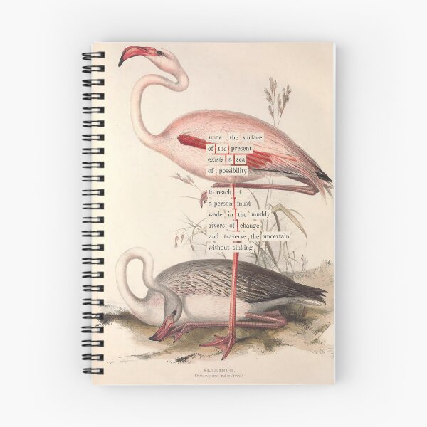 Item preview, Bird Divination: Flamingo (almanacofbirds.org) designed and sold by mariapopova.
