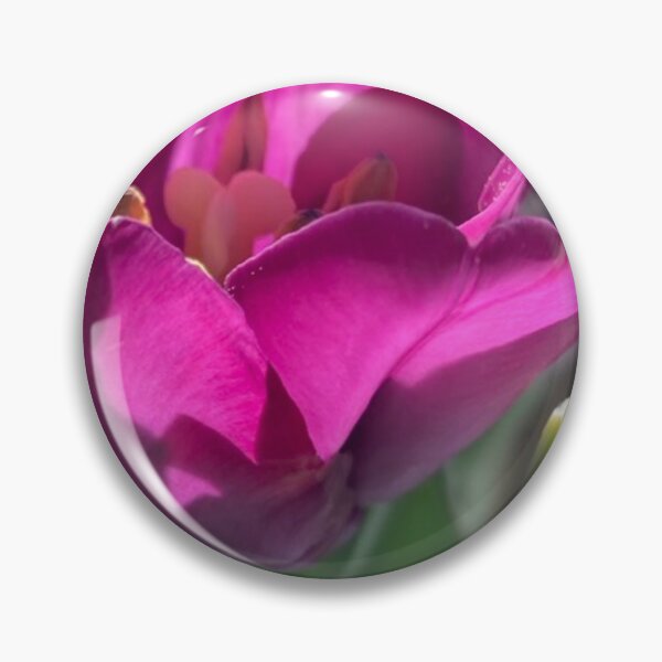 Item preview, Pretty Purple Tulip designed and sold by Notcamerashy.