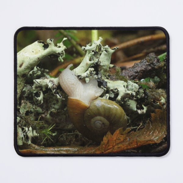 Item preview, Snail and Lichen in Coastal Oregon Forest designed and sold by WolfNoodles.