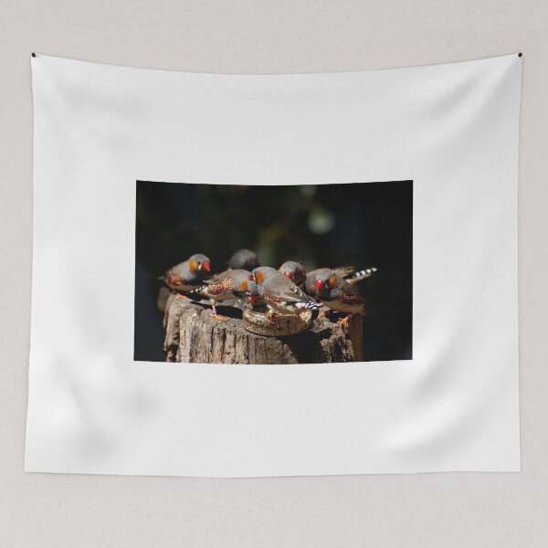 Item preview, Zebra Finch Feeding Frenzy designed and sold by GP1746.