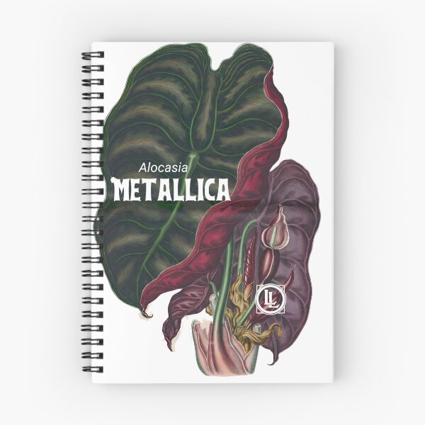 Artikelvorschau, Alocasia metallica entworfen und verkauft von Lloyd Library & Museum.
