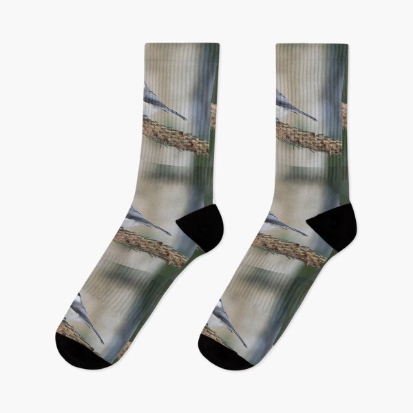 Item preview, Still for a while. Willow tit designed and sold by Jouko Lehto Photography.
