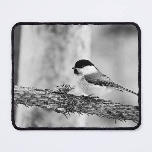Item preview, Still for a while. Willow tit bw designed and sold by Jouko Lehto Photography.