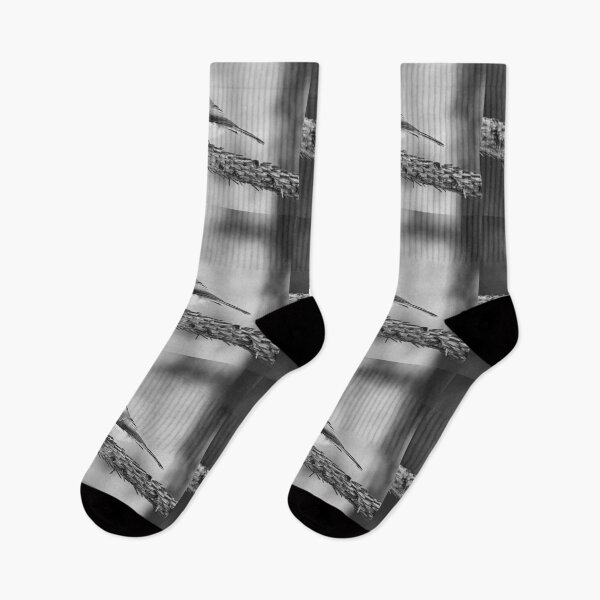 Item preview, Still for a while. Willow tit bw designed and sold by Jouko Lehto Photography.
