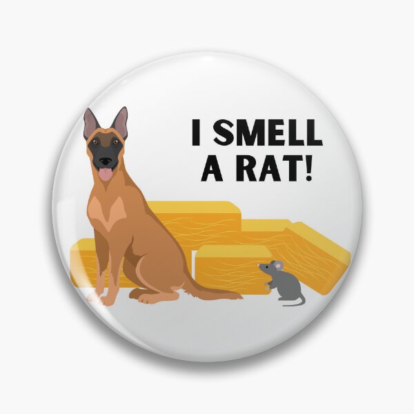 Item preview, Malinois I Smell A Rat Barn Hunt designed and sold by Mop Dog Designs.